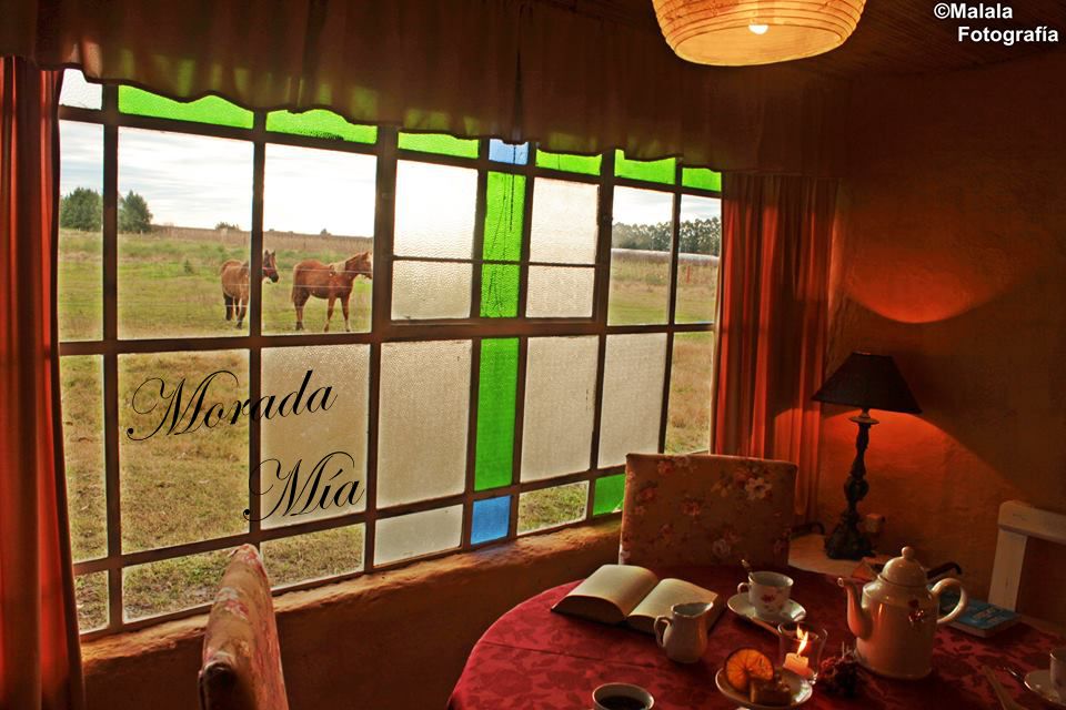 descripcion de imagen