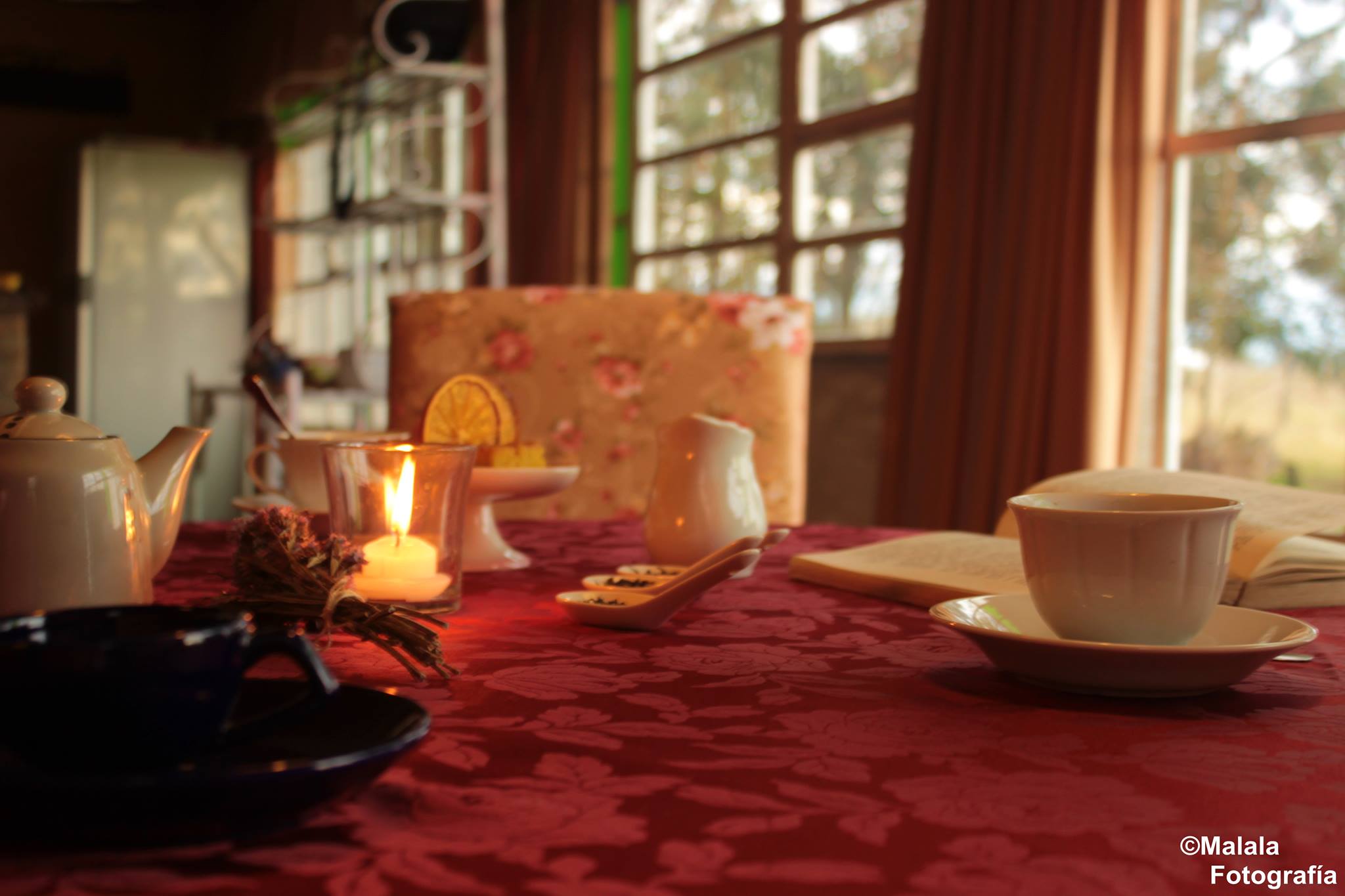 descripcion de imagen