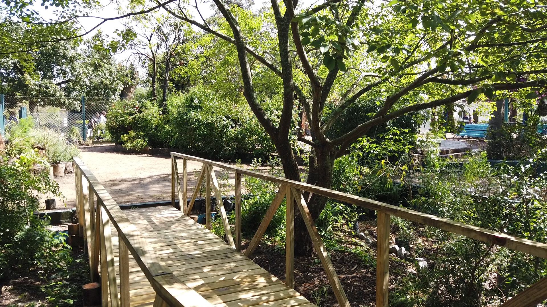 descripcion de imagen