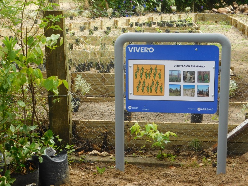 descripcion de imagen