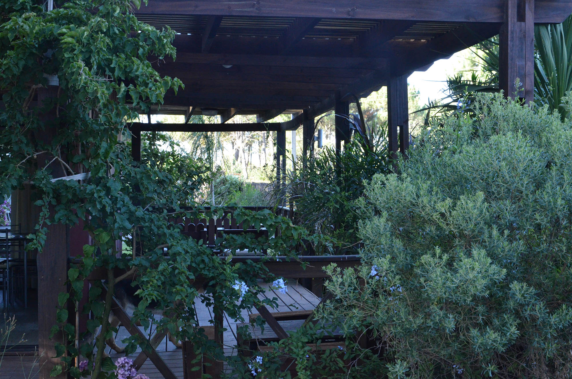 descripcion de imagen