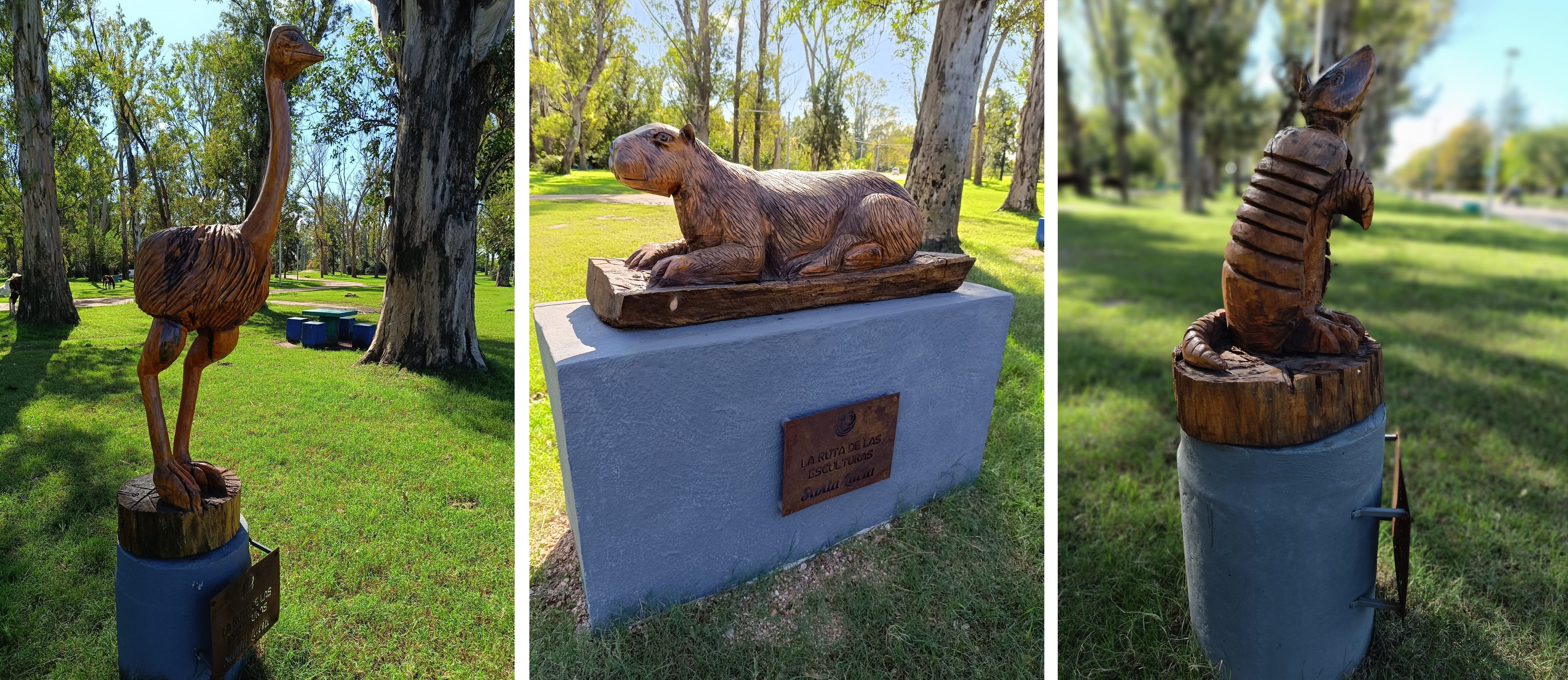 descripcion de imagen