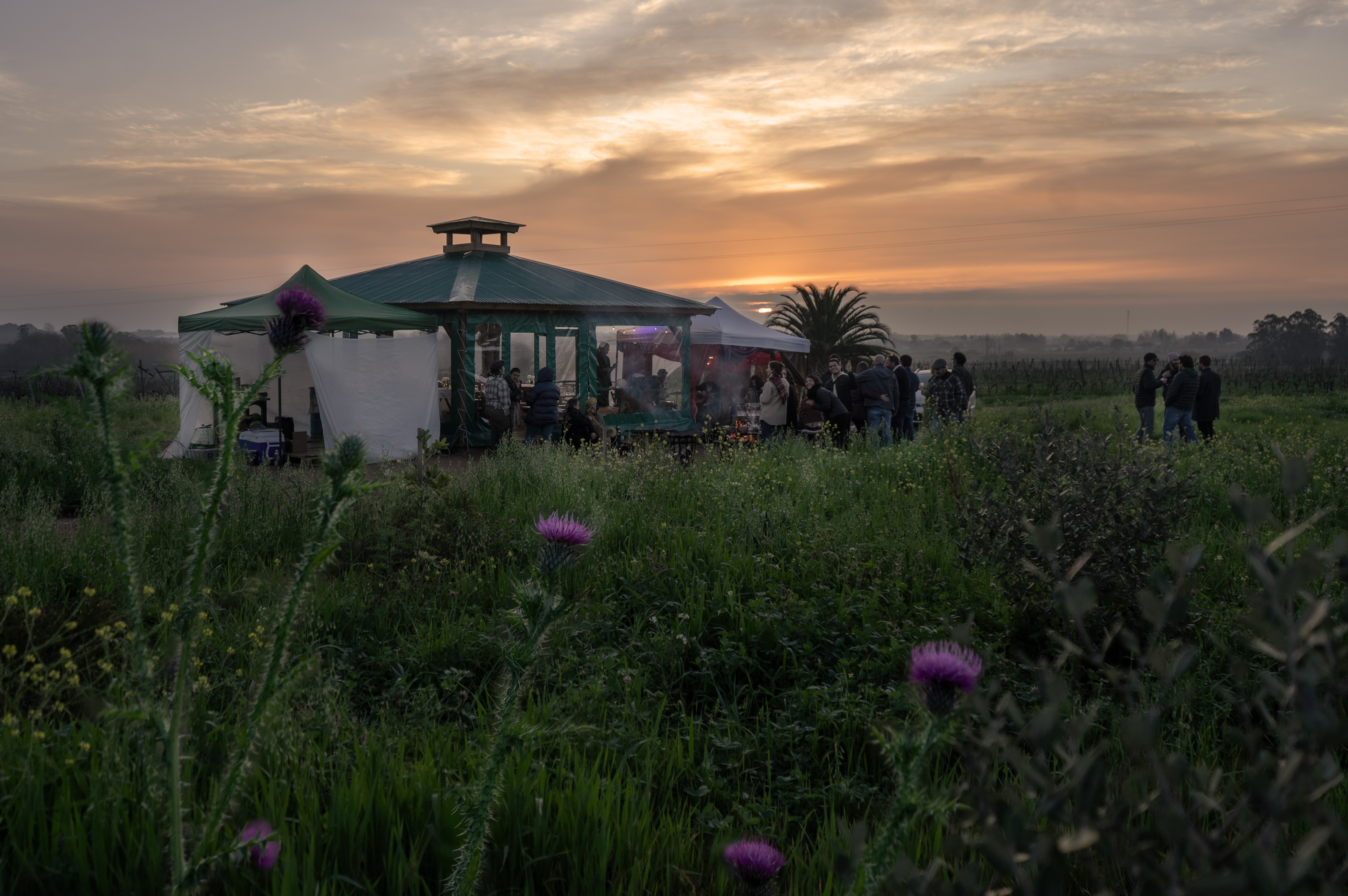 descripcion de imagen