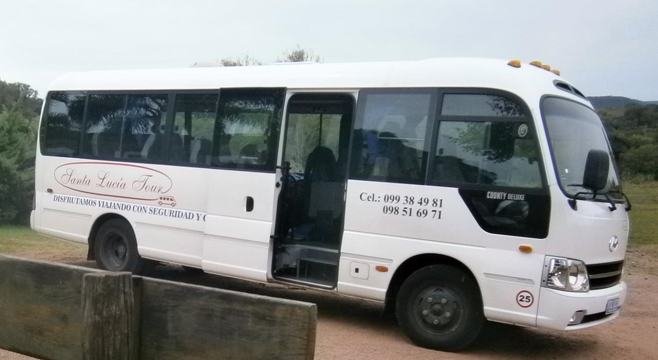 descripcion de imagen