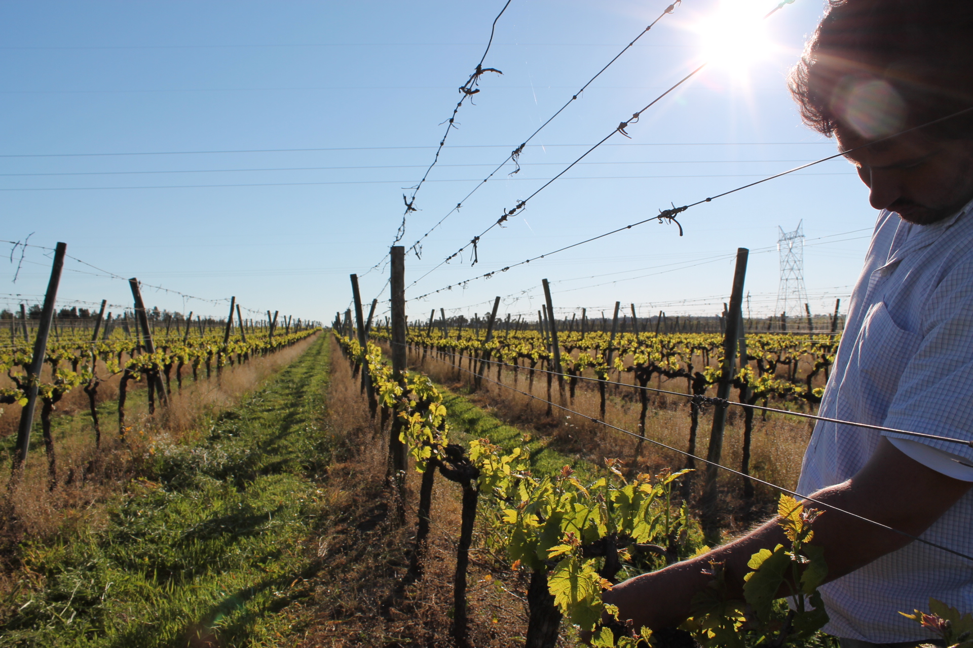 descripcion de imagen