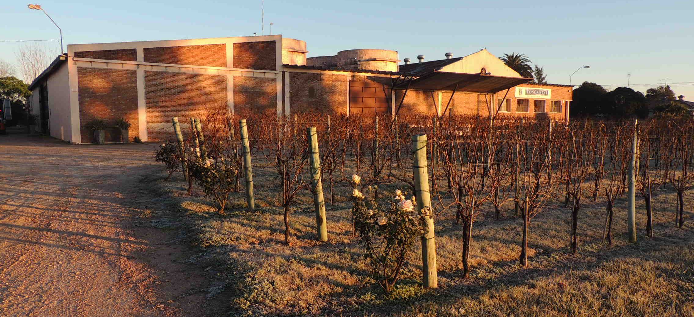 descripcion de imagen