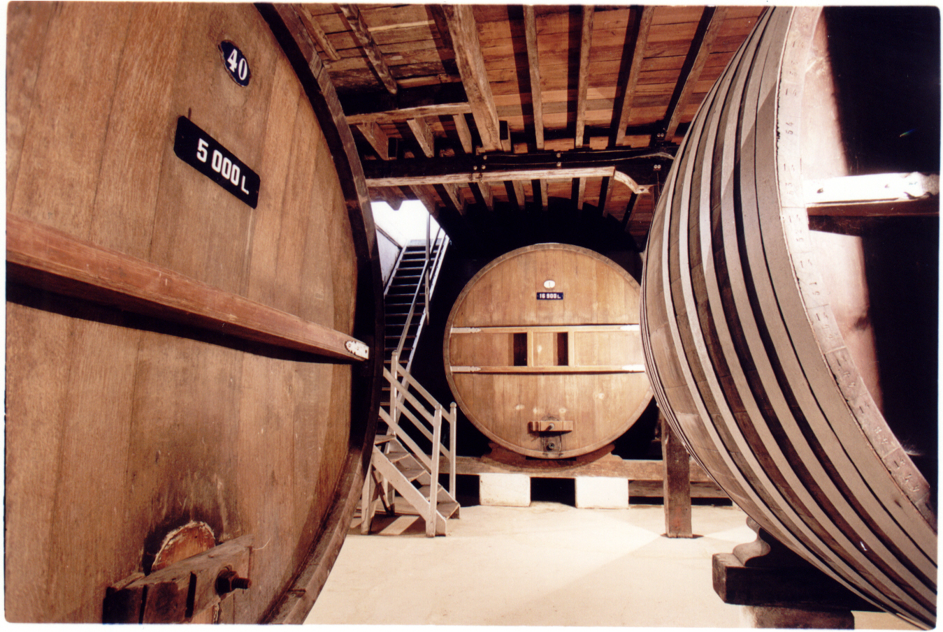 descripcion de imagen