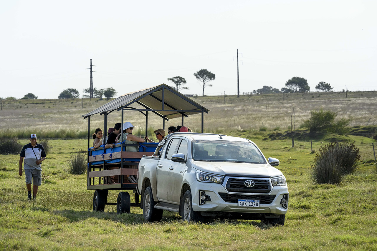 descripcion de imagen