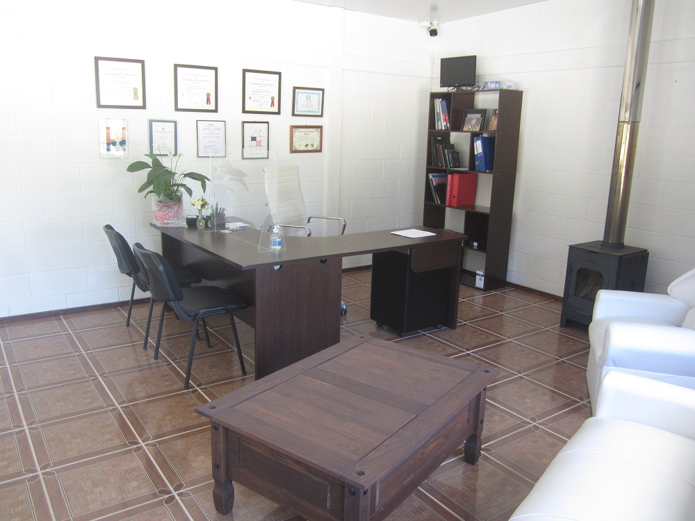 descripcion de imagen