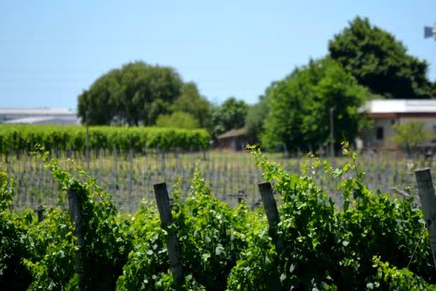 Texto descriptivo de la imagen