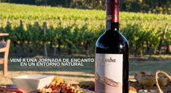 viñedo