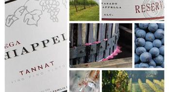 Imagen de Bodega Chiappella