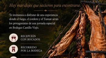 Bodega Castillo Viejo