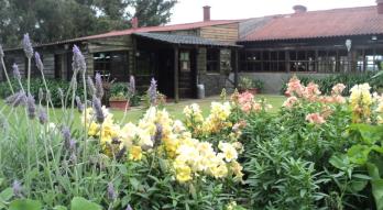 Imagen de El Renacimiento