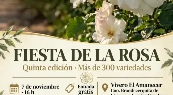 rosa
