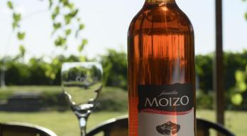 Imagen de Bodega Familia Moizo