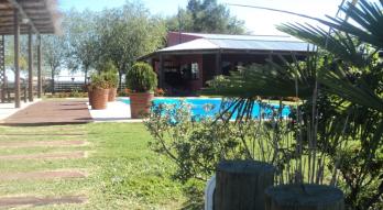 Imagen de Doña Palmira