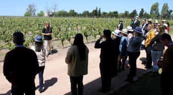 Imagen de Bodega H. Stagnari