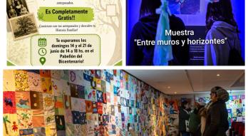 muestras artísticas