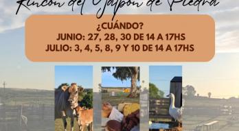 Vacaciones en el campo