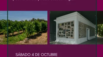 agregar descripción de la imagen